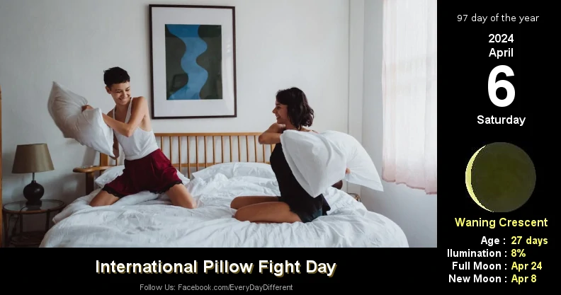 International Pillow Fight Day - April 6
