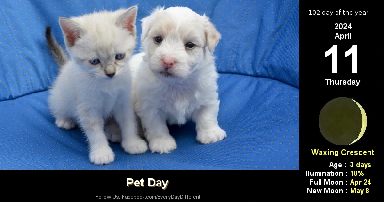 Pet Day - April 11