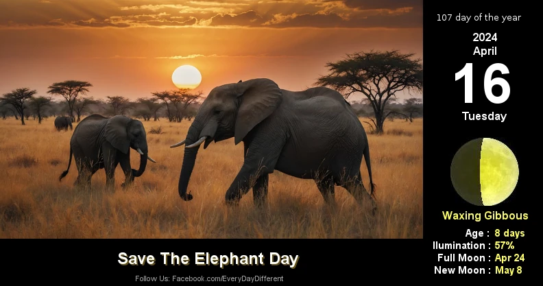 Save The Elephant Day - April 16