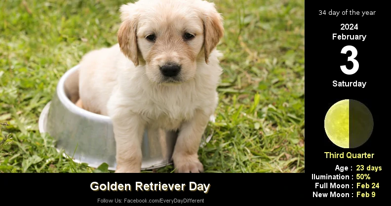 February 3 - Golden Retriever Day