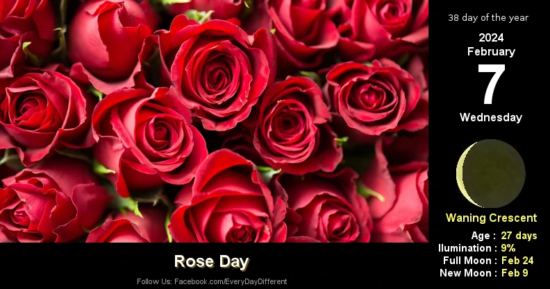 Rose Day - February 7