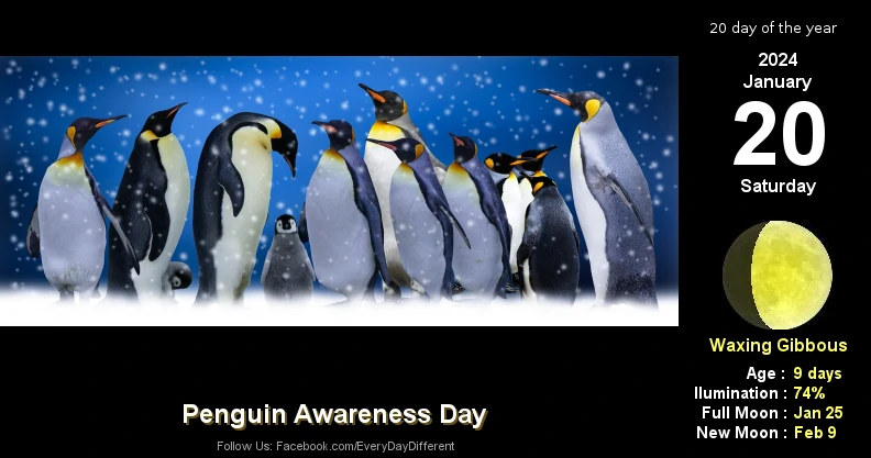 Penguin Awareness Day - January 20