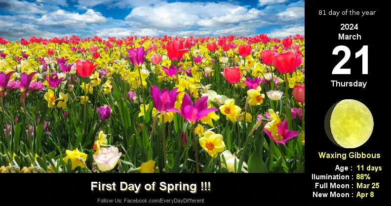 First Day of Spring (Northern Hemisphere) - March 21