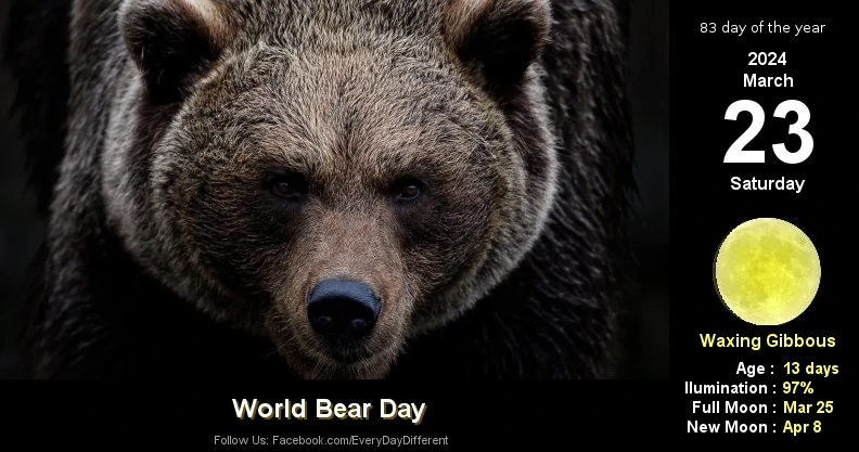 World Bear Day - March 23